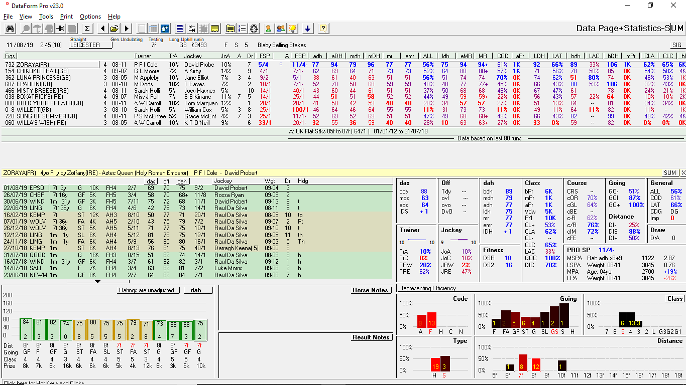 Horse Racing System Qualifiers